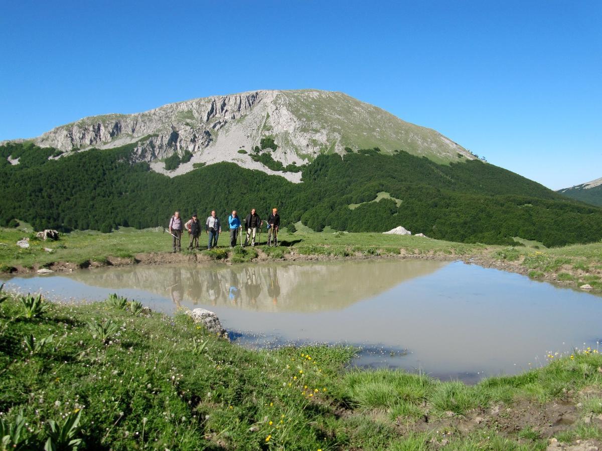 B&B Sole Del Pollino Ротонда Экстерьер фото